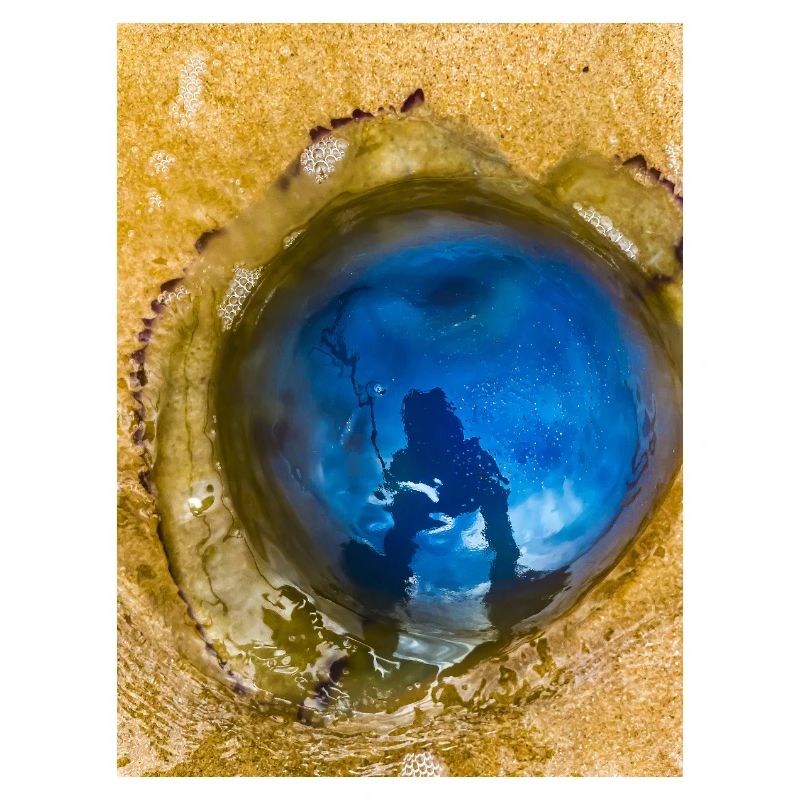 Méduse bleue avec Reflet sur Le Sable "Moi et mon Yelly