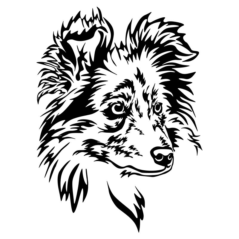 Sheltie Kopf