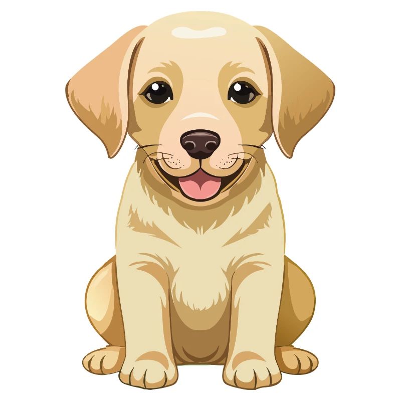 Mignon Labrador Retriever