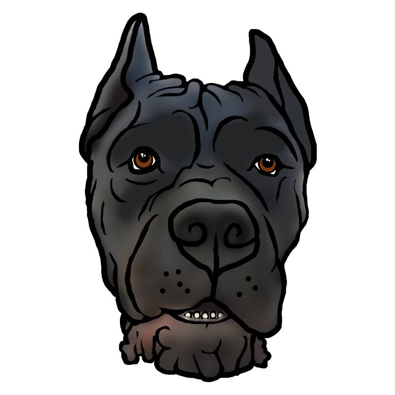 Cane Corso accroche la tête dans un style comique