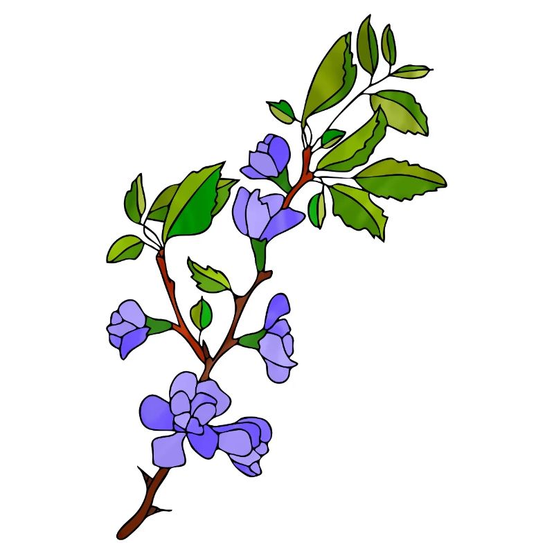 Fleur