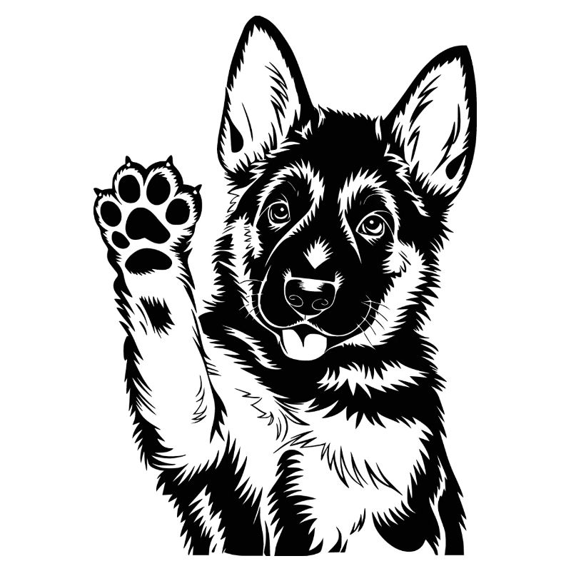 Schäferhund