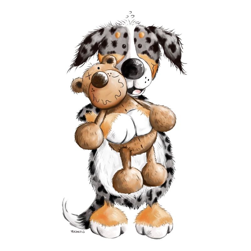 Australian Shepherd mit Teddy