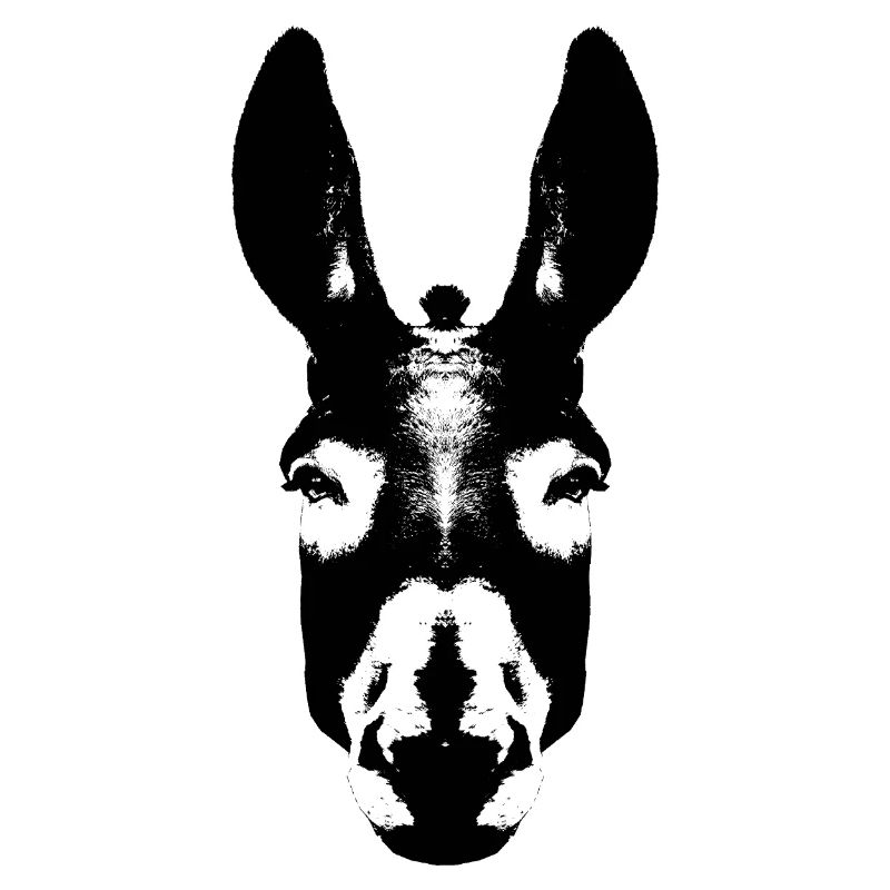 Donkey / Head