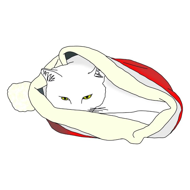 Chat de Noël