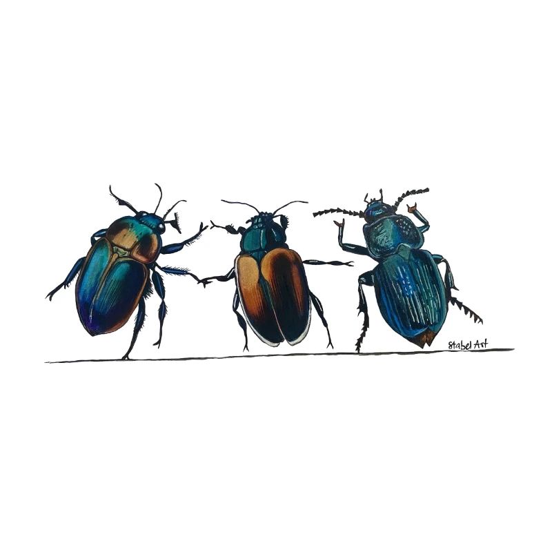 3Käfer