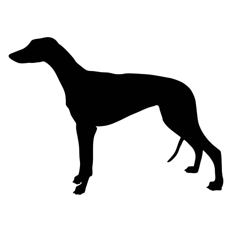 Greyhound