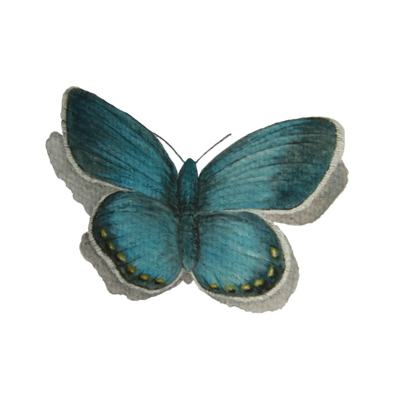 Schmetterling Bläuling