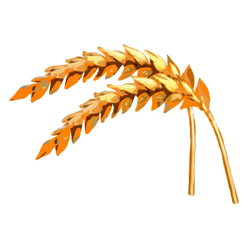 grain