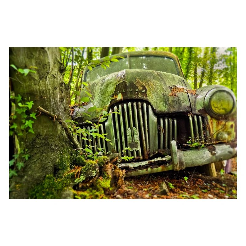 Waldverfall: Rostige Autoüberreste