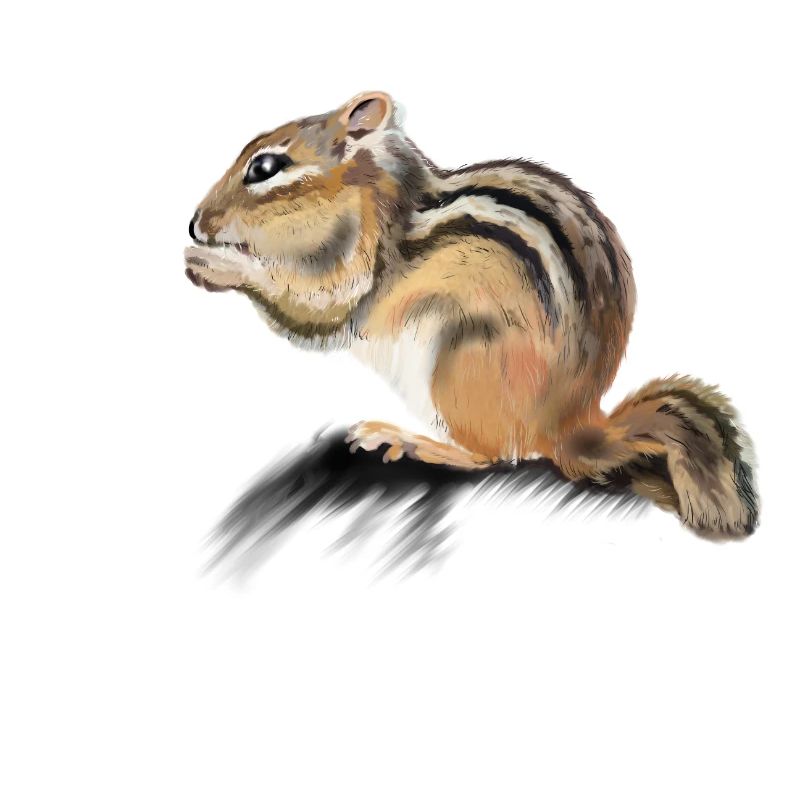 Backenhörnchen
