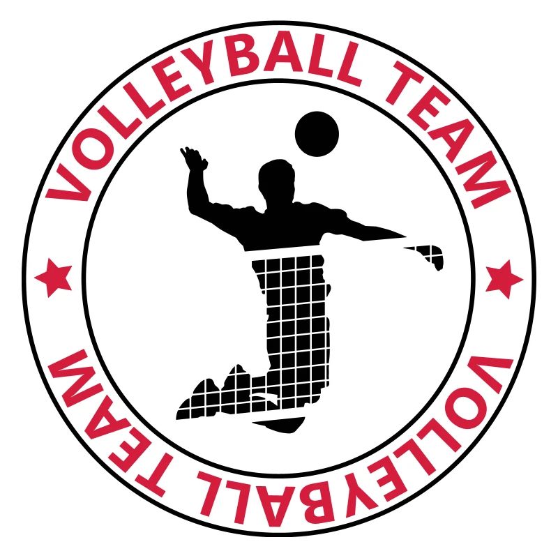 l'équipe de volley-ball