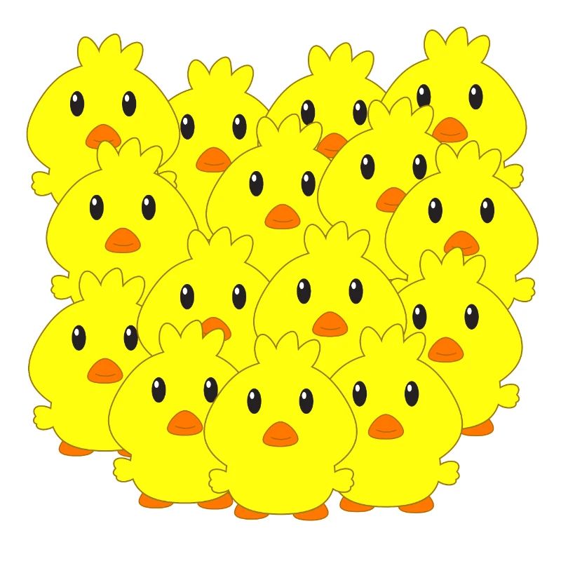 Chicks, Easter, animals for children, sweet chicks