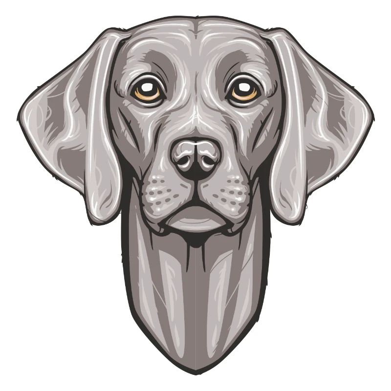 Weimaraner