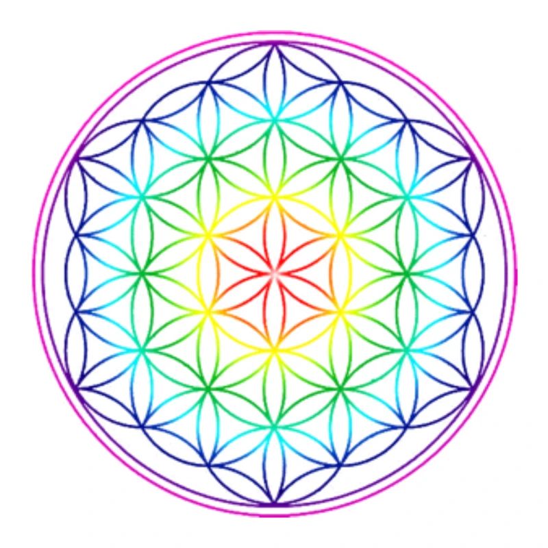 REGENBOGENBLUME DES LEBENS