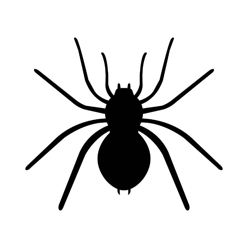 Spinne