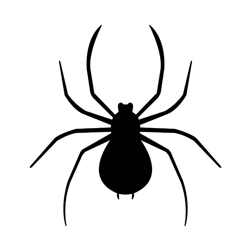 Spinne