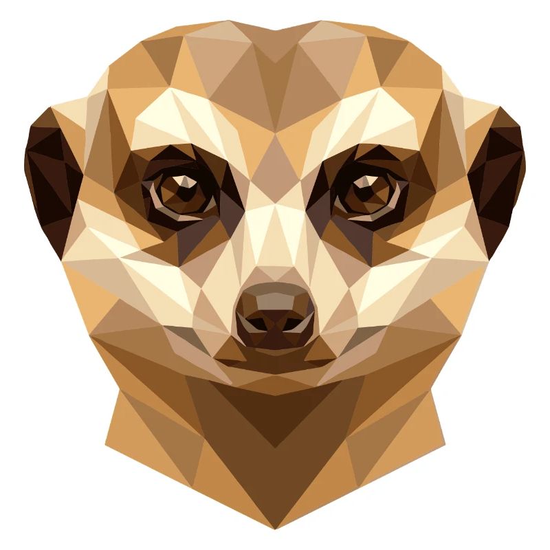 Suricate Suricate Douce Mangouste Suricate