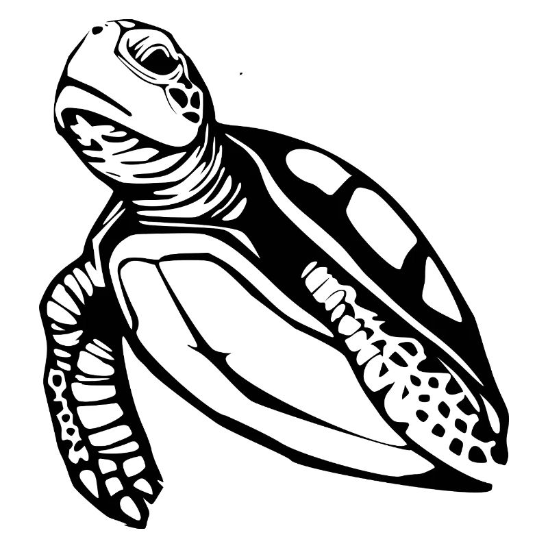 Turtle Turtles