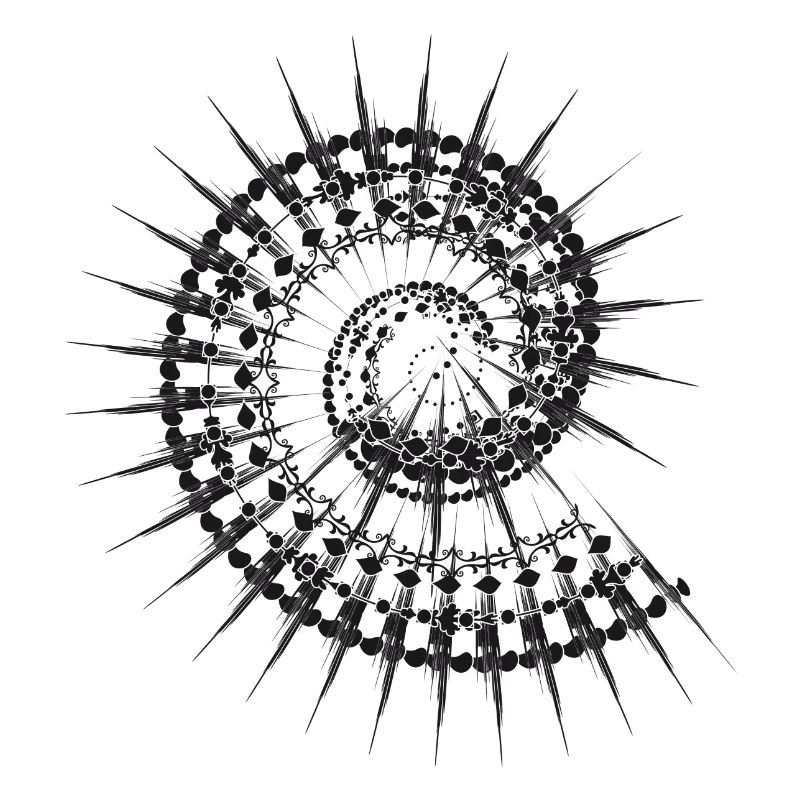 Shell shape snail in black and white