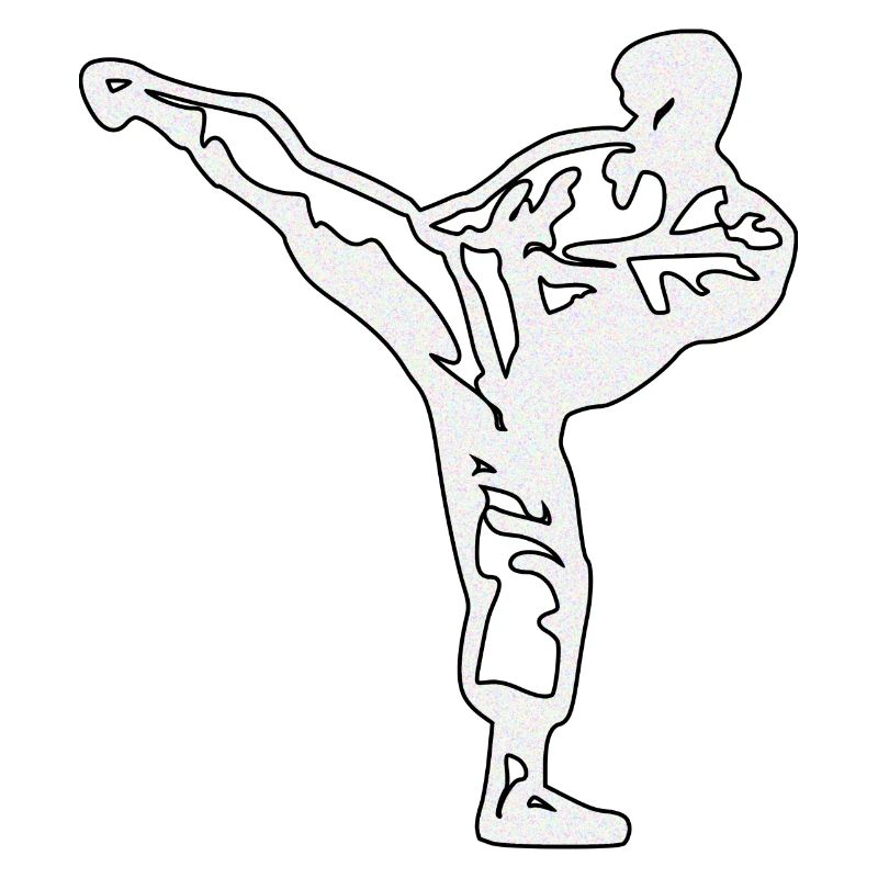 karate silber