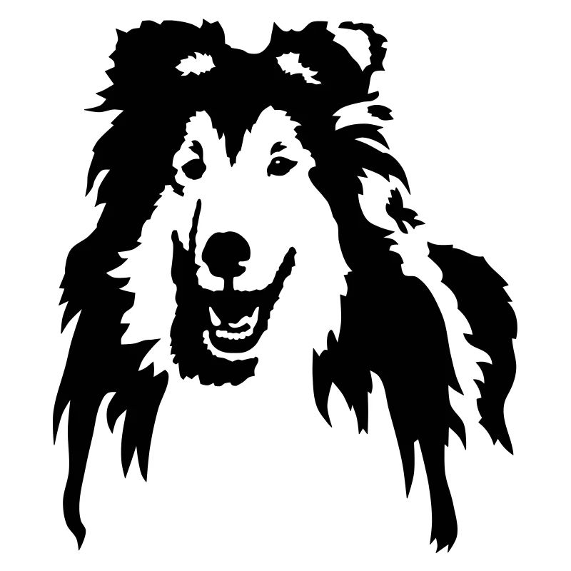 collie