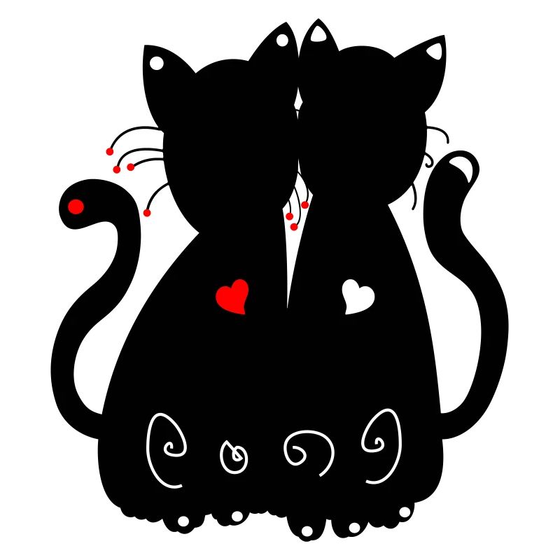 schwarze Katzen