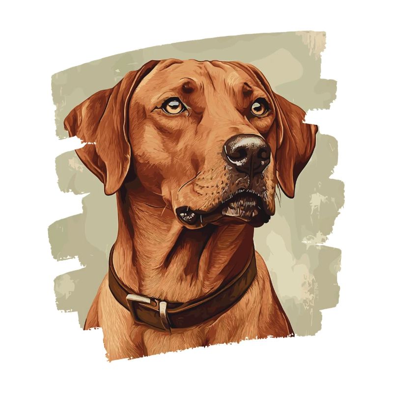 Rhodésian Ridgeback