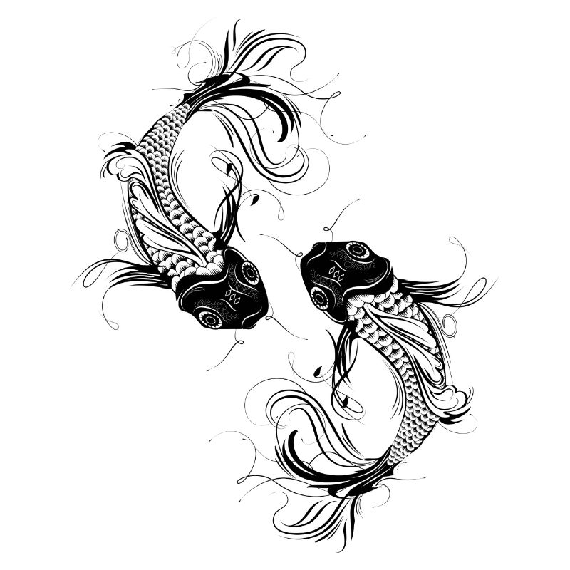 two fanciful Kois