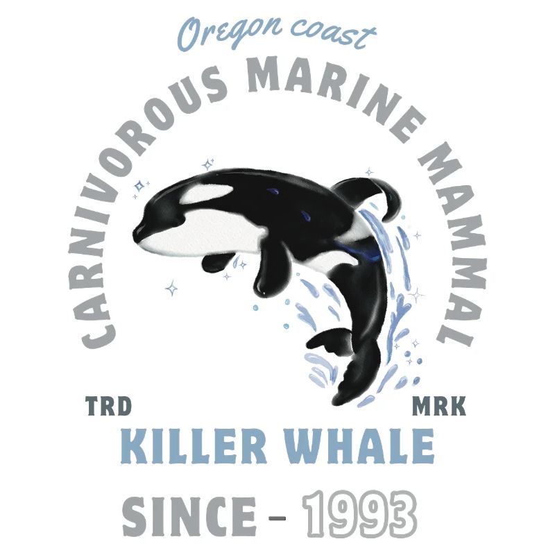 Orca Tier Meeressäuger - Schwertwal