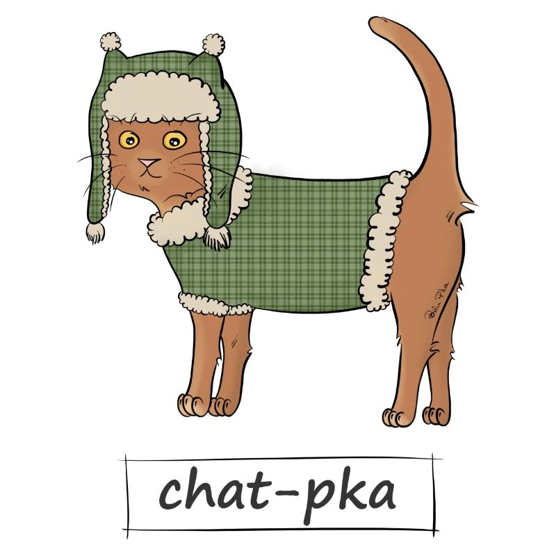 Chat-pka