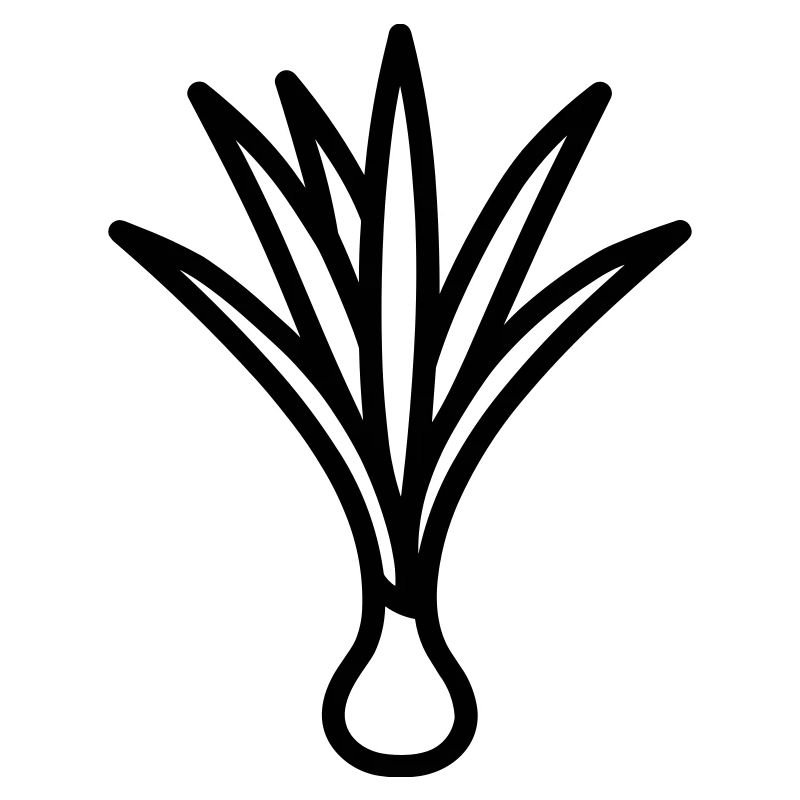 leek