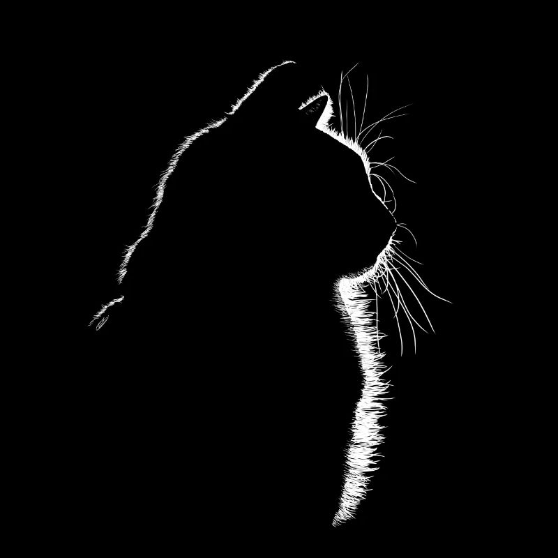Chat