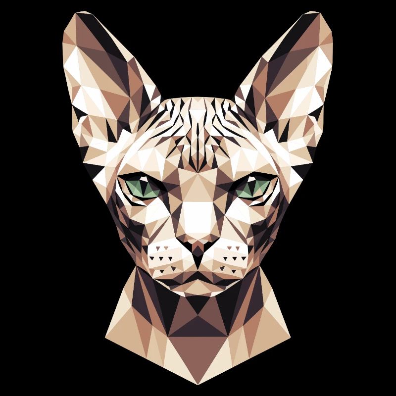 Sphynx Chat Sphynx Chat Chat Canadien Sphinx mignon