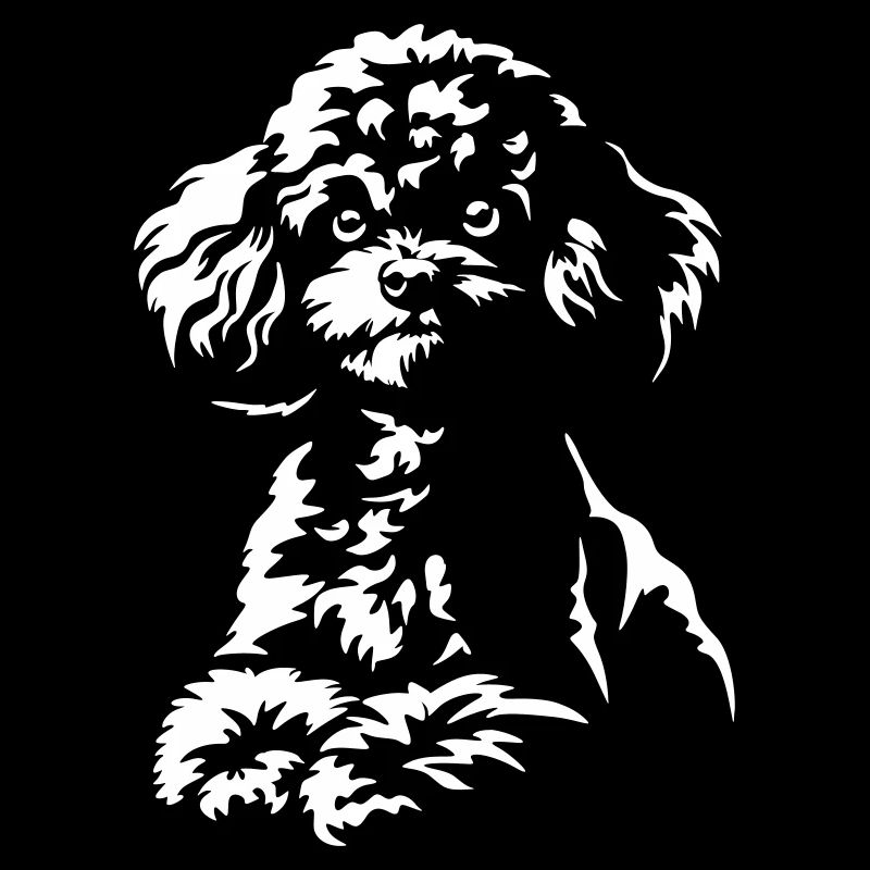 Poodle "Black Edition"