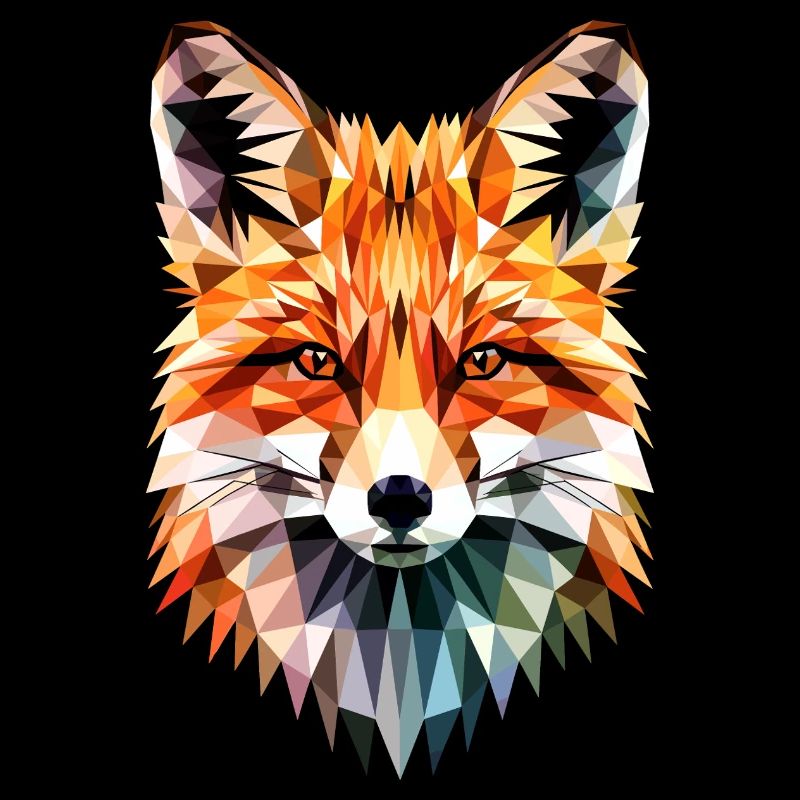 Fuchs Liebe Füchse Rotfuchs Vulpes Kleiner Fuchs