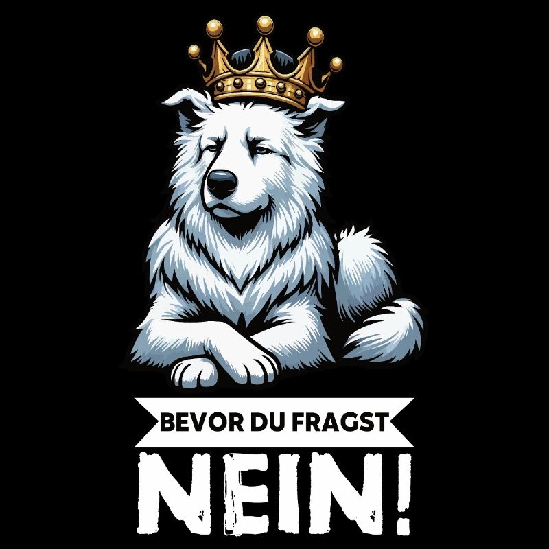 Bevor Du Fragst Weißer Schäferhund Schäferhund 