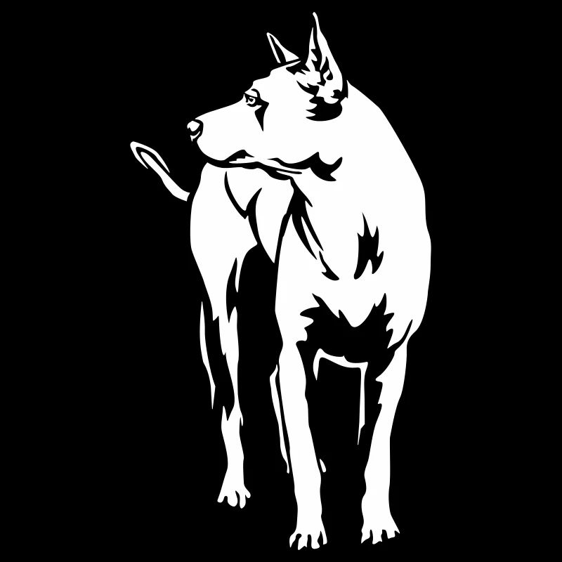Thai Ridgeback "Black Edition"