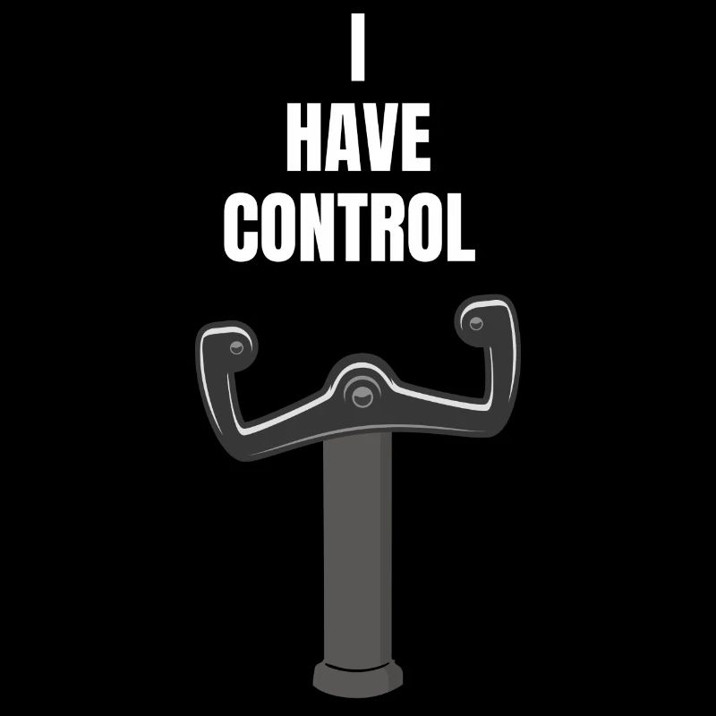 Pilot Flugzeug fliegen - I HAVE CONTROL