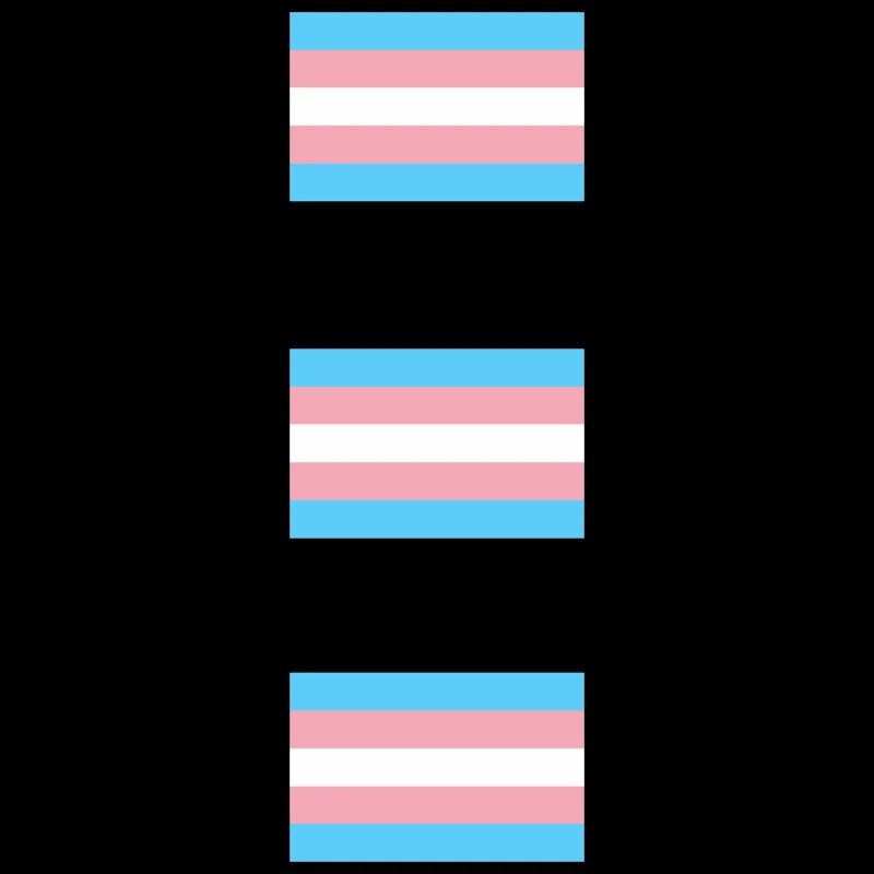 Drapeaux de la Fierté Trans