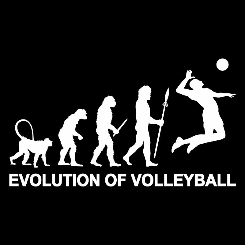 Evolution des Volleyballs