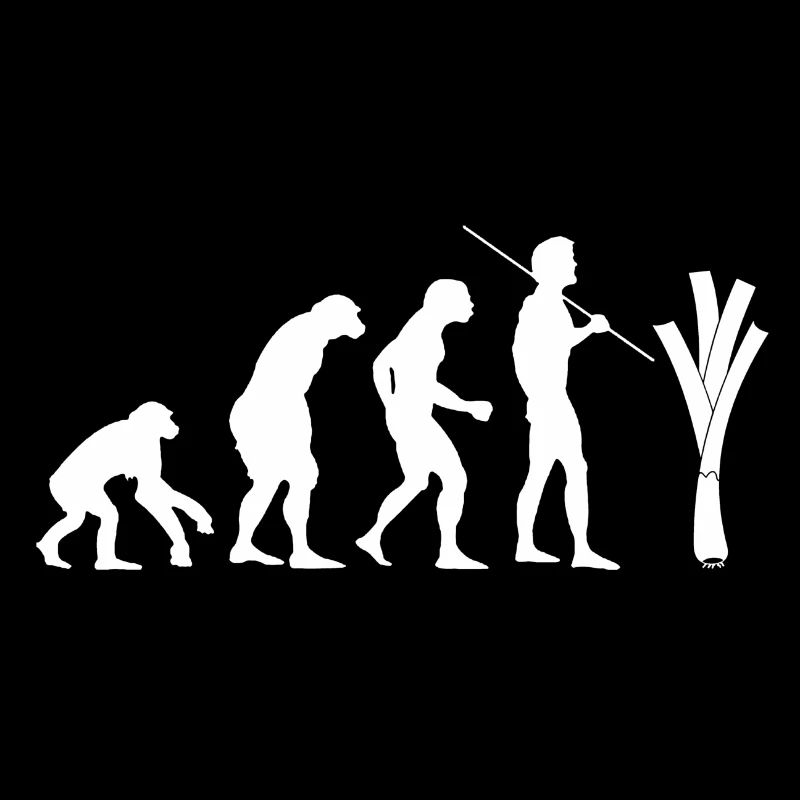 Evolution des Lauchs (weiß)