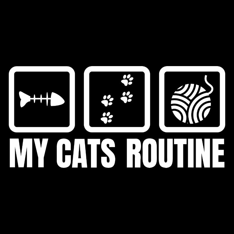My cat's routine