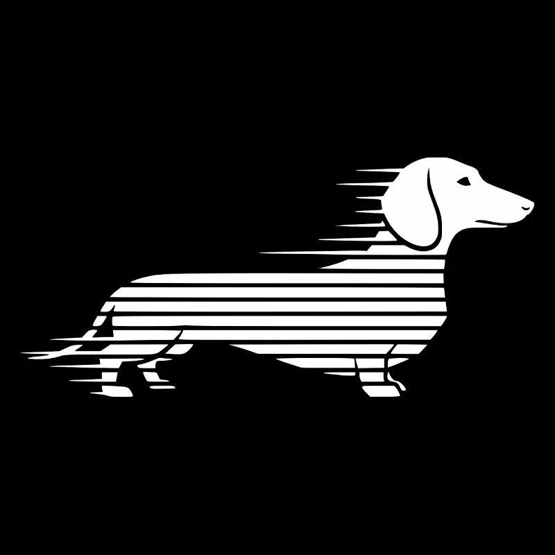 Teckel rayé en course