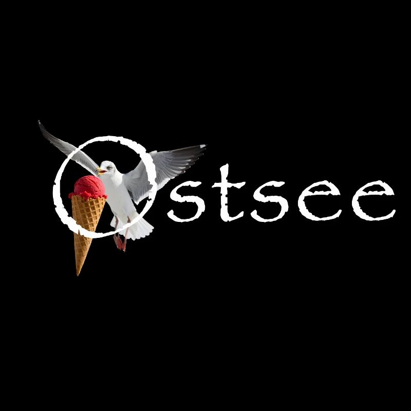 Ostsee Möwe Eisräuber Raubvogel