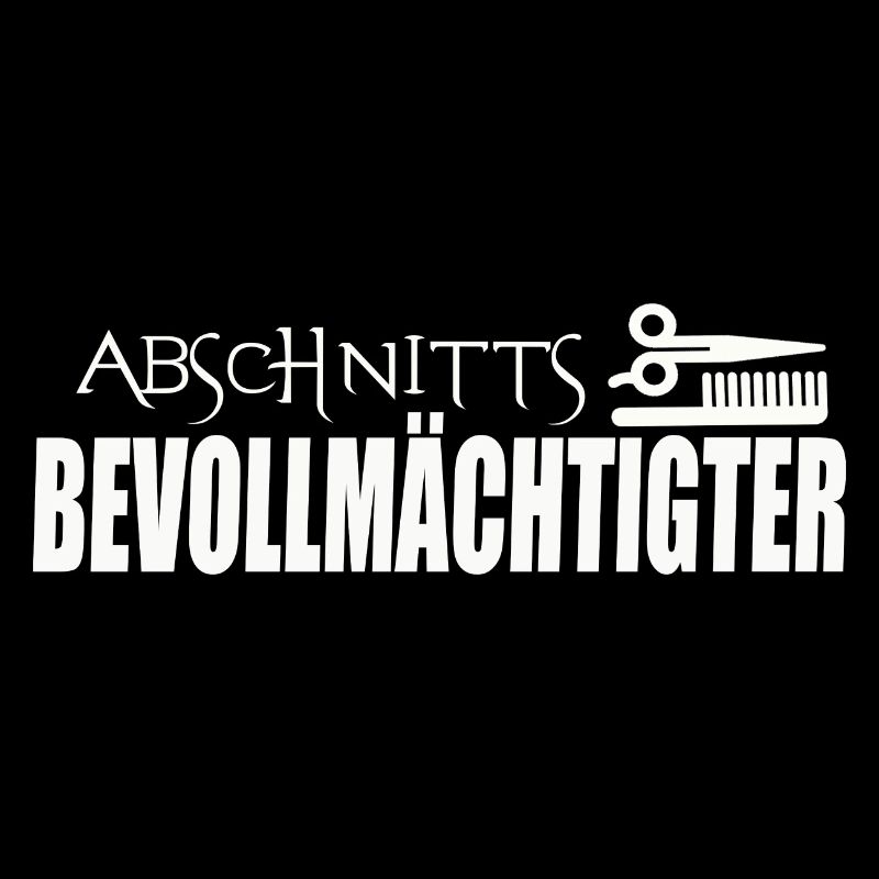 ABSCHNITTSBEVOLLMÄCHTIGTER