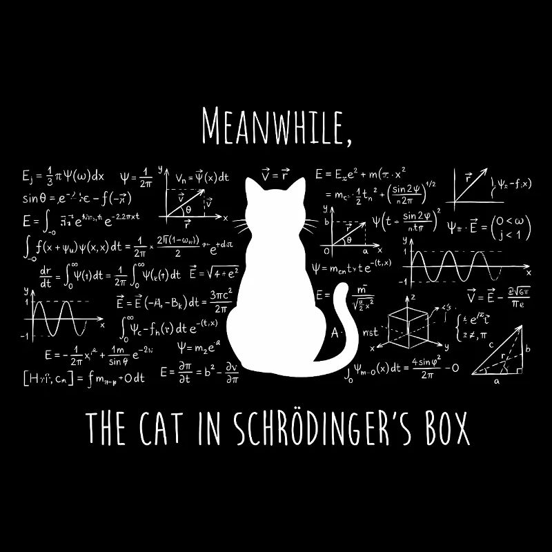 Le Chat de Schrödinger – Physique & Science Design