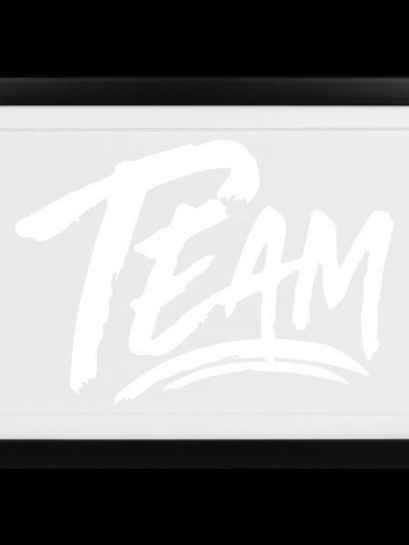 Team