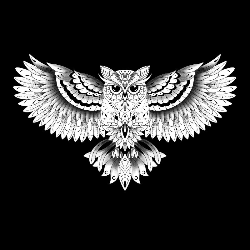 Eule dekorative Eule Zeichnung,