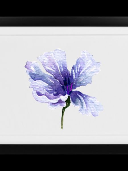 Blume